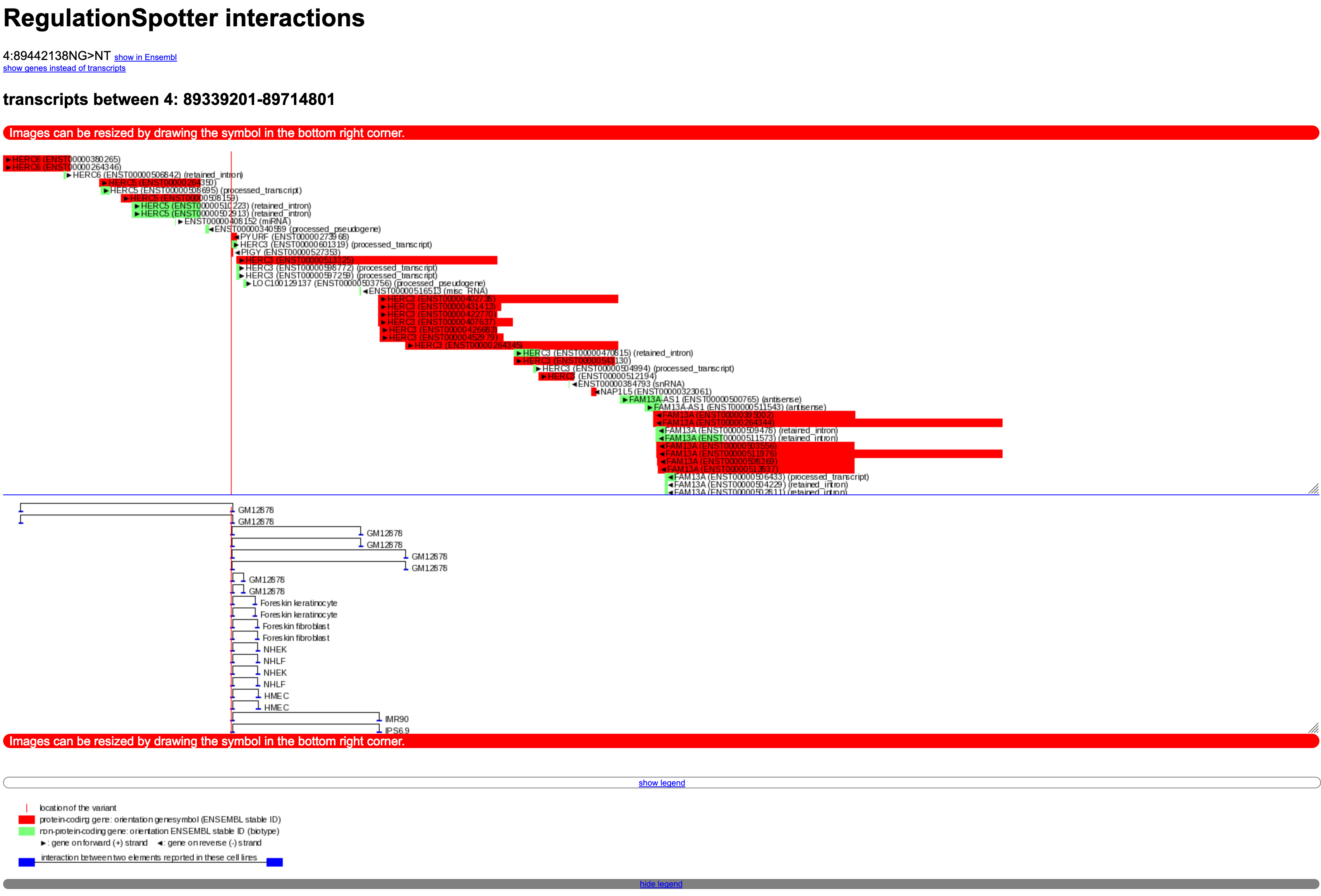 Screenshot of a single variant result file