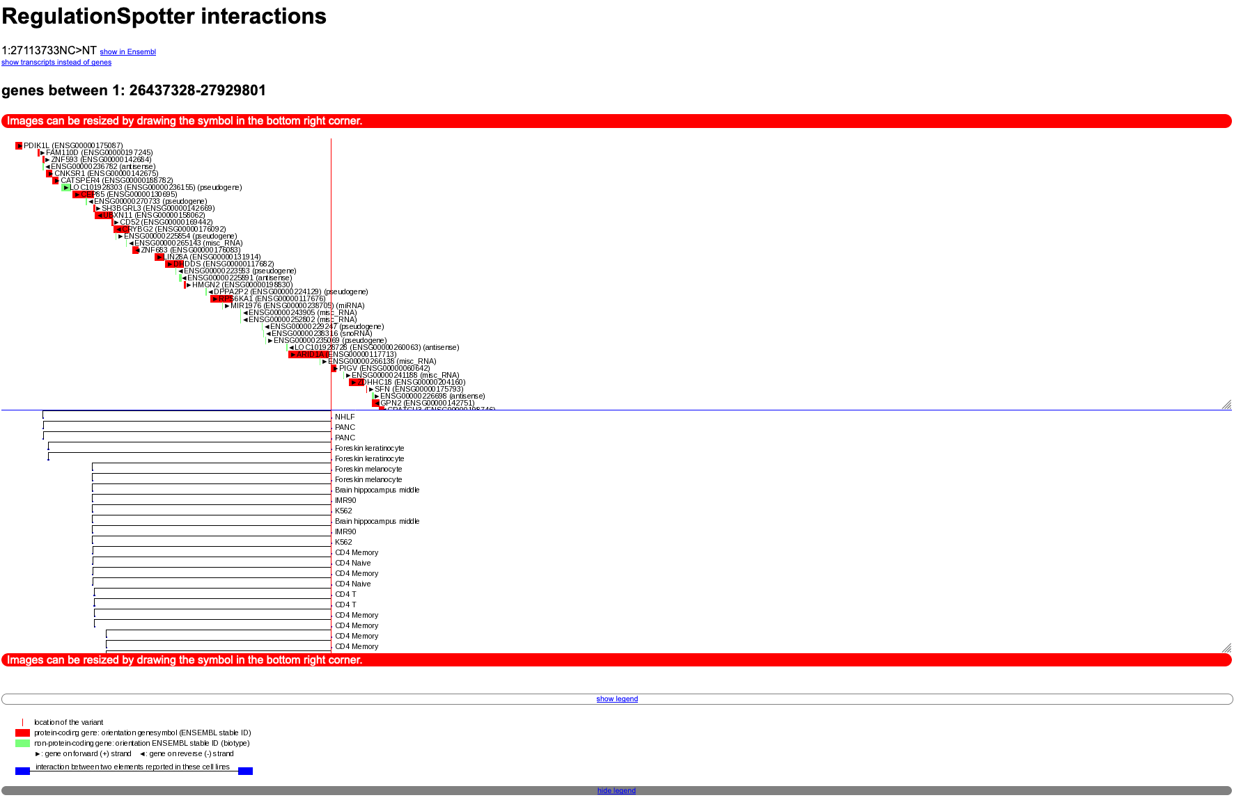 Graphical depiction of interactions between distant genomic elements