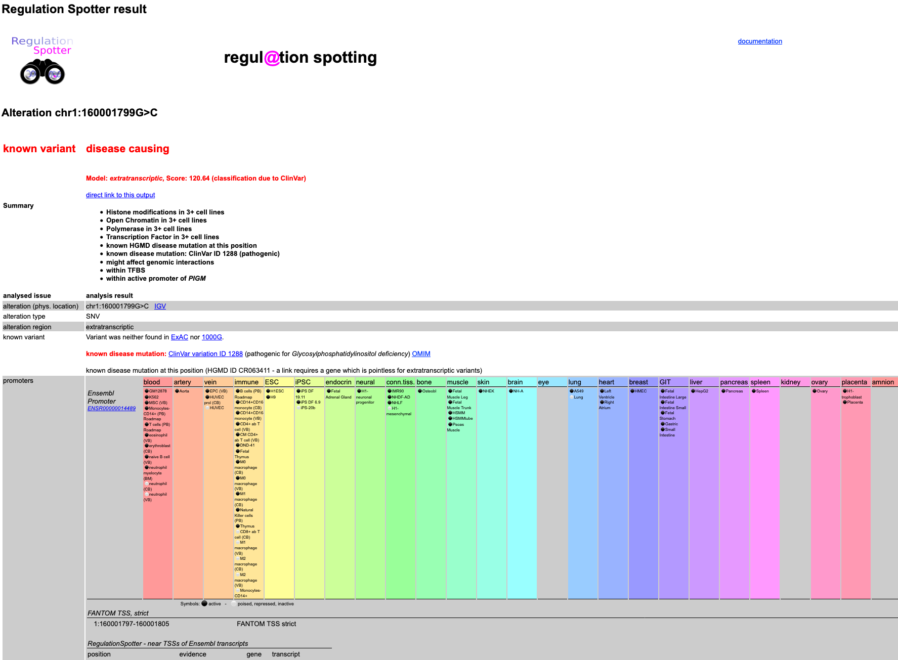 Screenshot of the first part of detailed results output for a single variant