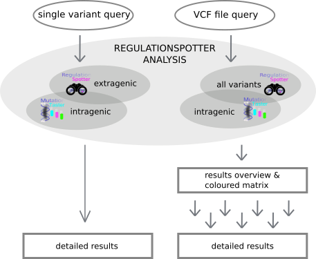 RegulationSpotter workflow